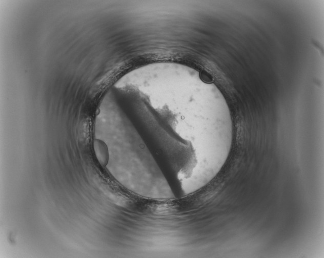 X0000101150165200807251056