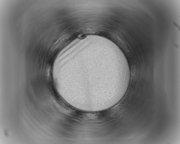 X0000101150166200807251056
