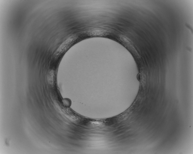X0000101150167200807251056