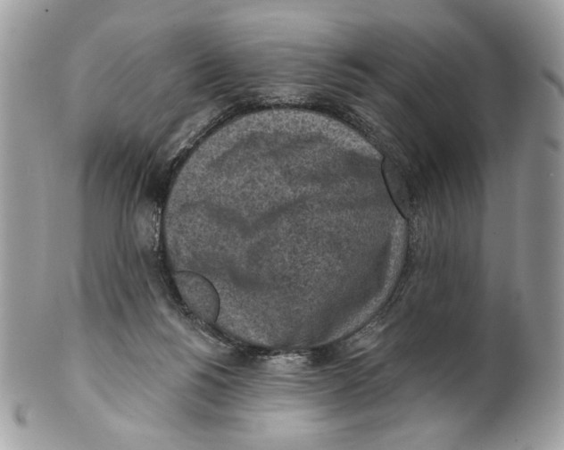 X0000101150168200807251056