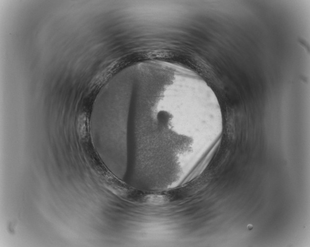 X0000101150169200807251056