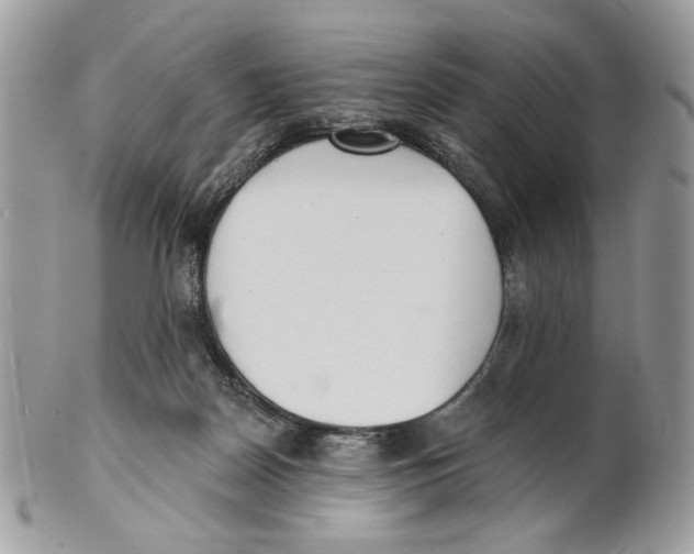 X0000101150170200807251056