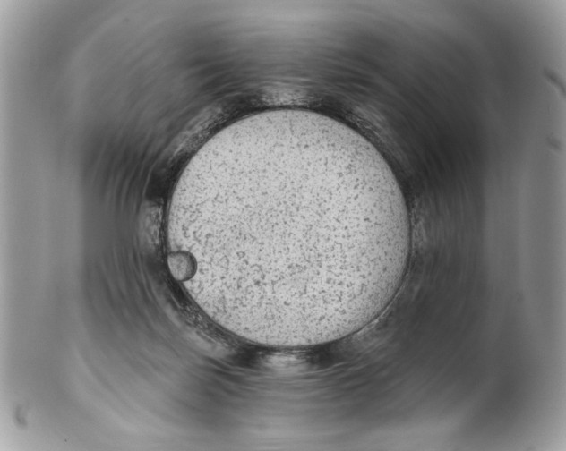 X0000101150171200807251056