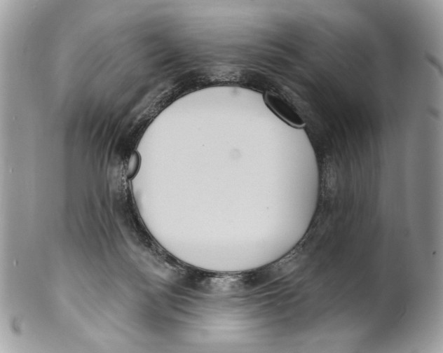 X0000101150172200807251056