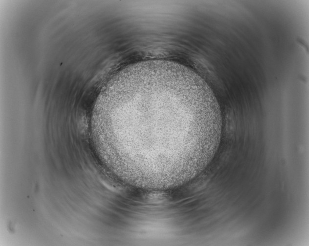 X0000101150173200807251056