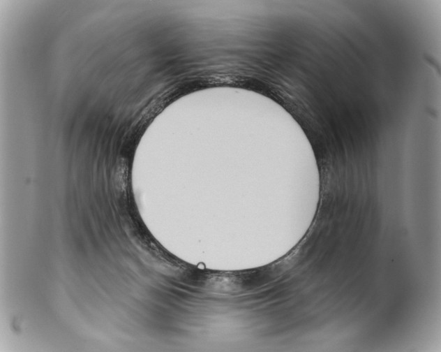 X0000101150174200807251056