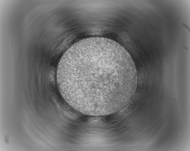 X0000101150175200807251056