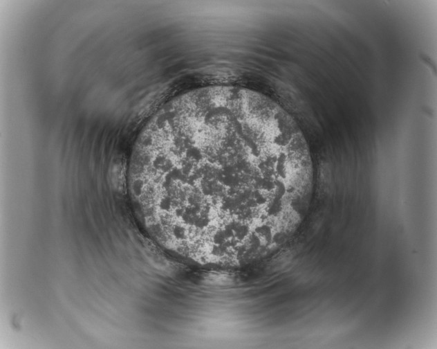 X0000101150177200807251056