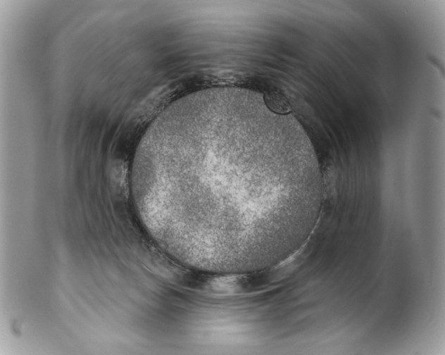 X0000101150178200807251056