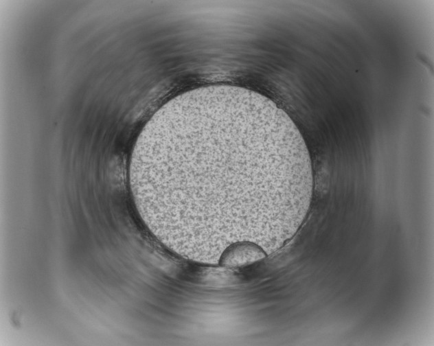 X0000101150179200807251056