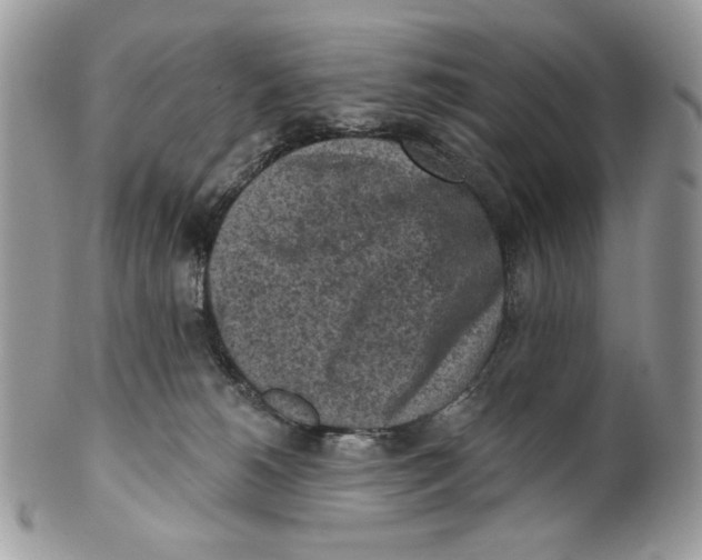 X0000101150180200807251056