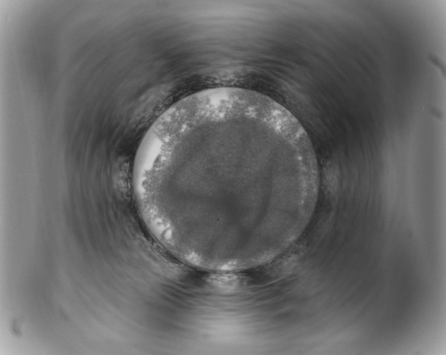 X0000101150181200807251056