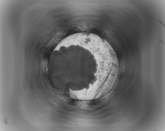 X0000101150182200807251056