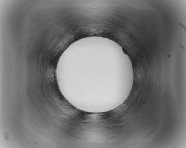 X0000101150184200807251056