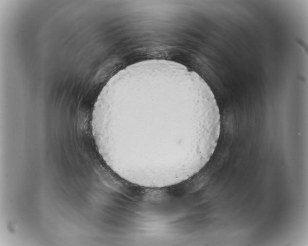 X0000101150185200807251056