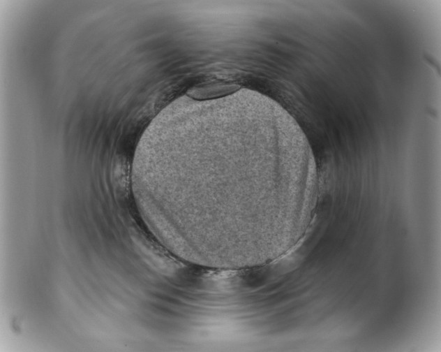 X0000101150186200807251056