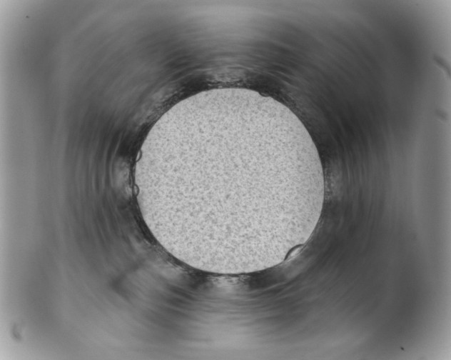 X0000101150187200807251056