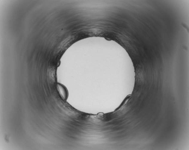 X0000101150188200807251056