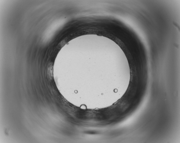 X0000101150190200807251056