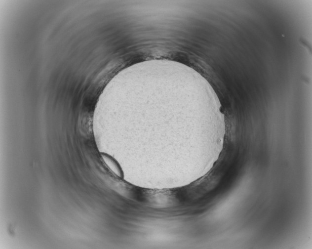 X0000101150191200807251056