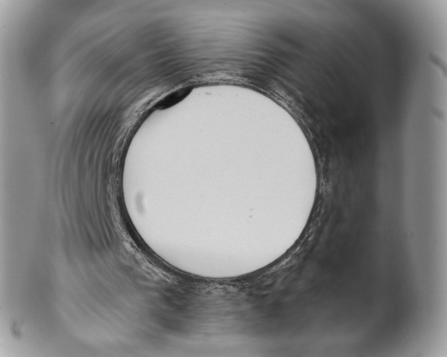 X0000101150193200807251055