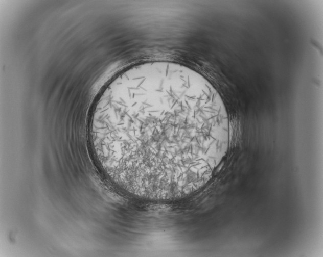 X0000101150195200807251055