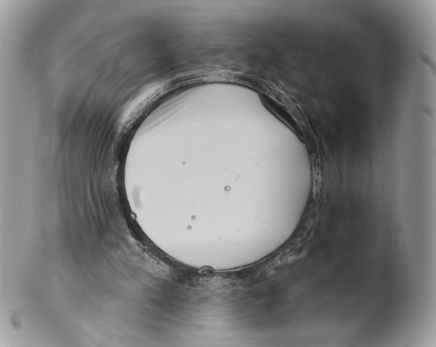 X0000101150197200807251055