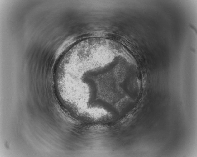 X0000101150198200807251055