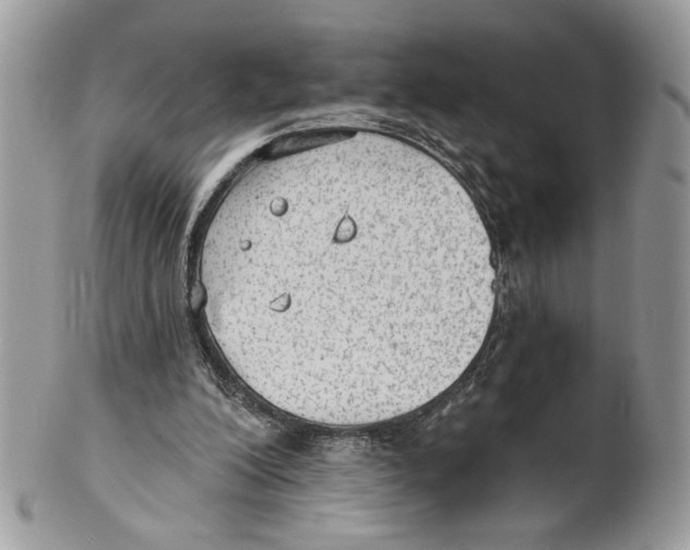 X0000101150200200807251055