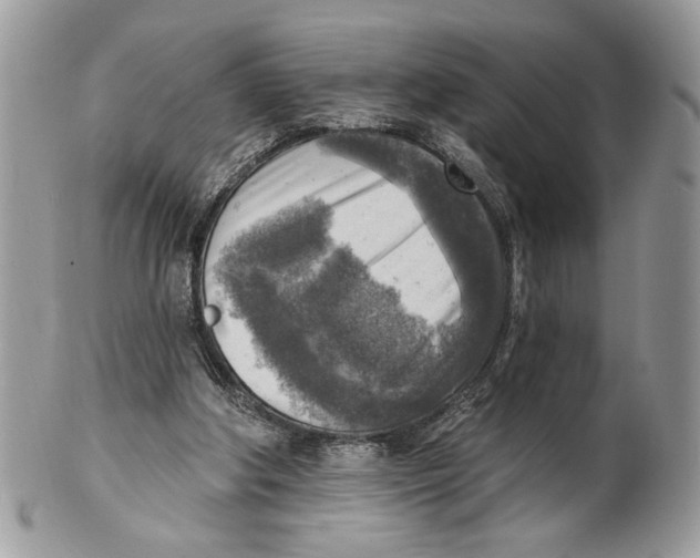 X0000101150202200807251055