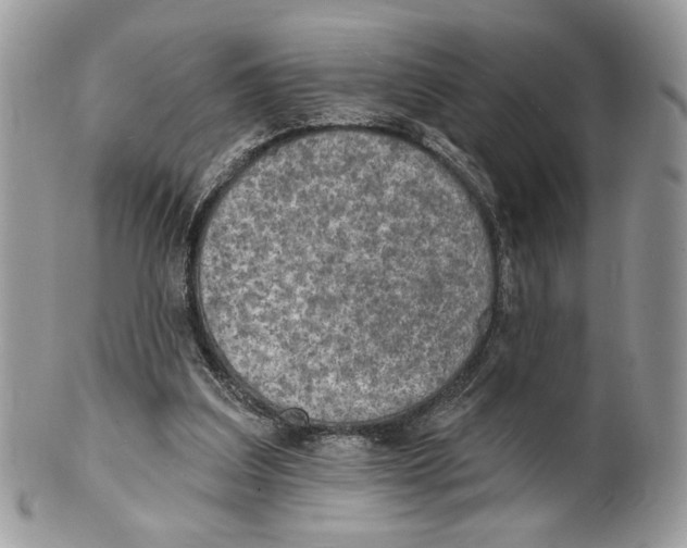 X0000101150203200807251055