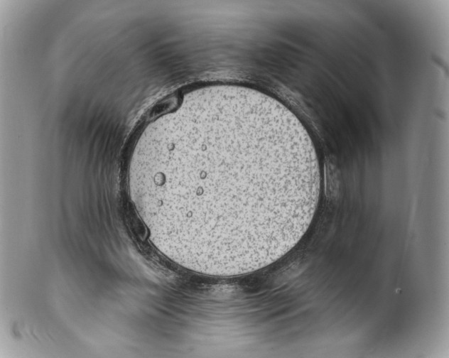 X0000101150204200807251055