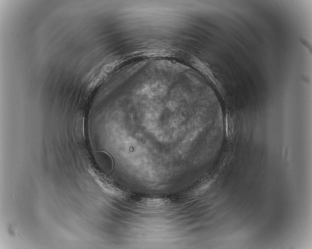 X0000101150205200807251055