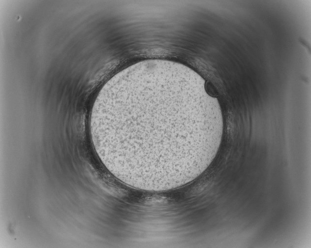 X0000101150206200807251055