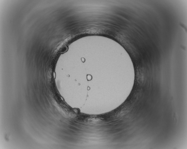 X0000101150208200807251055