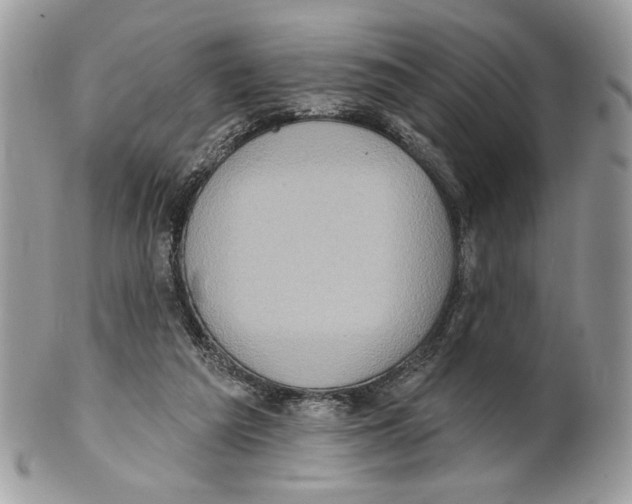 X0000101150209200807251055