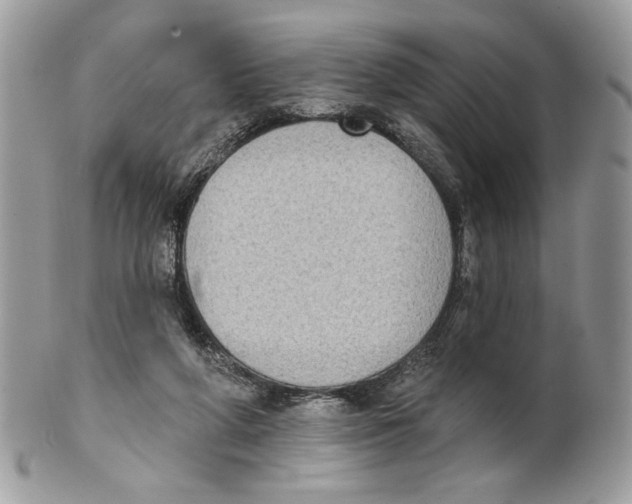 X0000101150210200807251055
