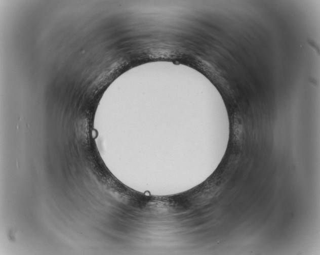 X0000101150211200807251055