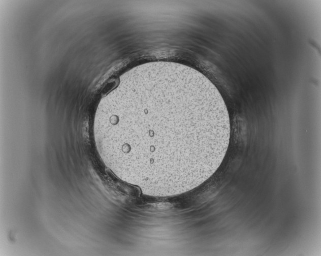 X0000101150212200807251055