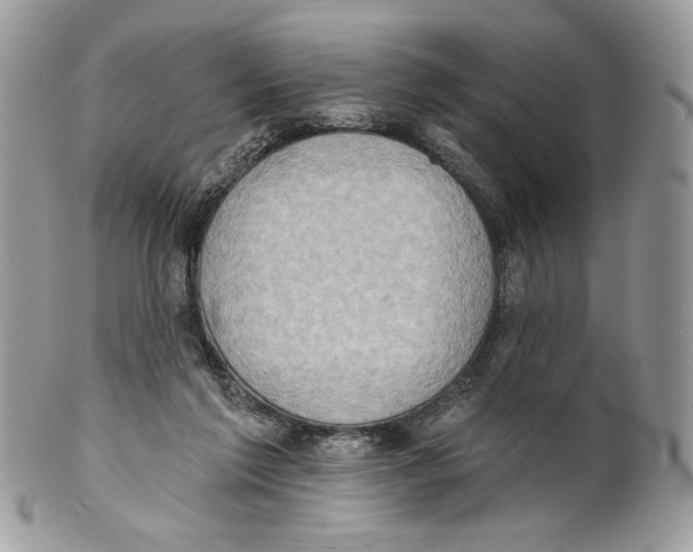 X0000101150213200807251055