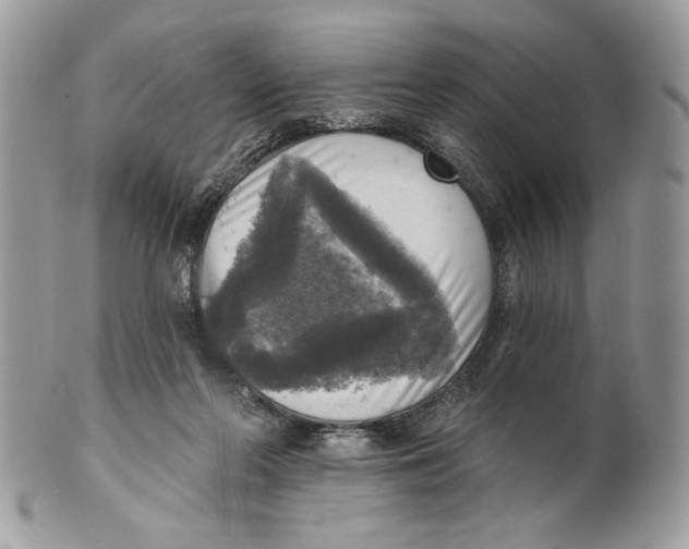 X0000101150214200807251055