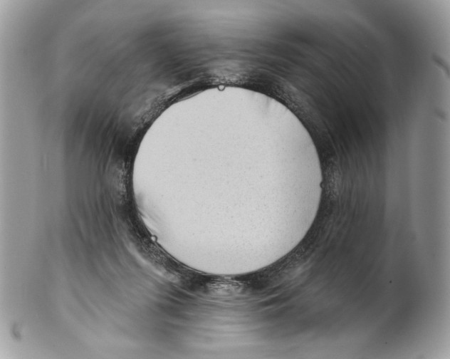 X0000101150215200807251055