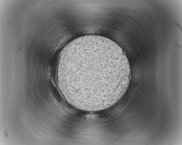 X0000101150216200807251055