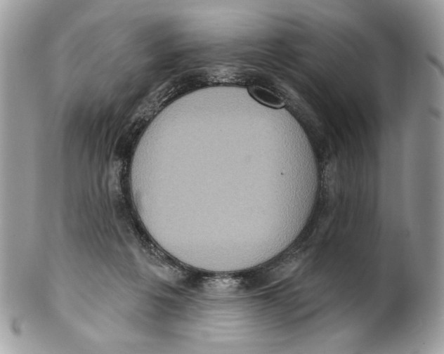 X0000101150217200807251055