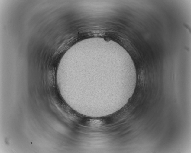 X0000101150218200807251055