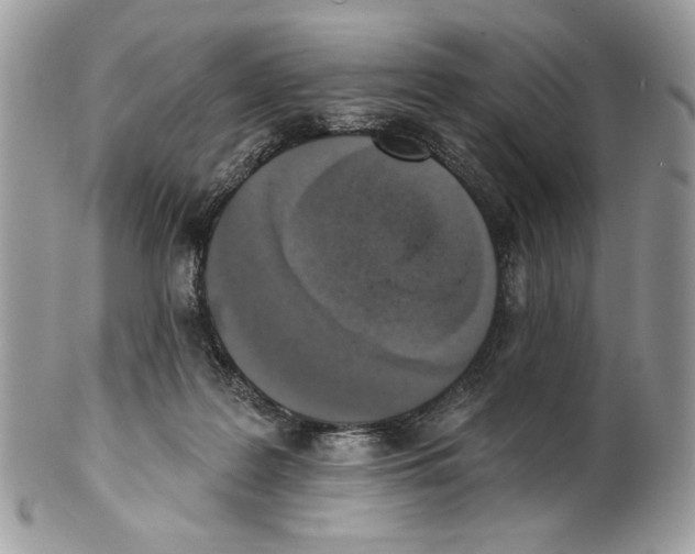 X0000101150219200807251055