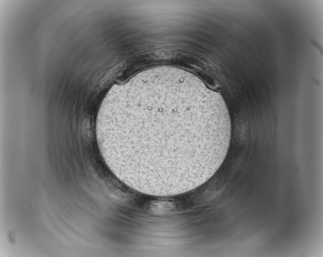 X0000101150220200807251055