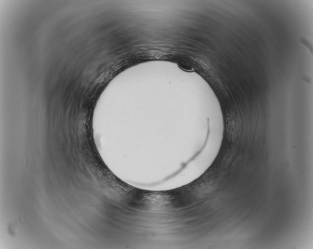 X0000101150221200807251055