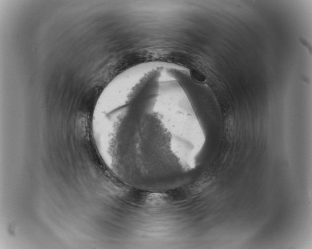 X0000101150222200807251055