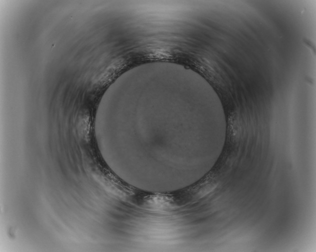 X0000101150223200807251055